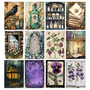 Pu&ograve; includere: Una collezione di stampe artistiche ad acquerello con illustrazioni botaniche, bottiglie da farmacista vintage, un corvo sui libri e una serra. Le stampe hanno un'estetica vintage, gotica e stravagante, con una tavolozza di colori tenui.