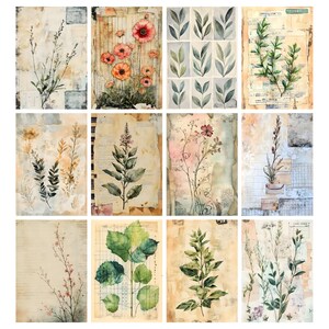 Blomarkivets skräpjournalsidor, vintage botaniskt collagepapper, vintage blomskräpjournalkit, digitala blompapper, efemera bild 2