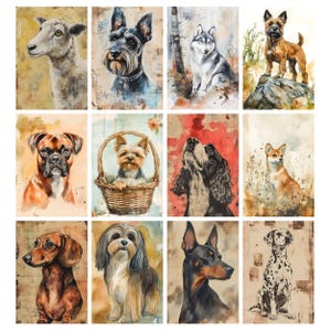 May include: A collection of watercolor dog portraits, including a sheepdog, Schnauzer, Husky, Cairn Terrier, Boxer, Yorkshire Terrier, Cocker Spaniel, and Dachshund. Each portrait is on a vintage-style background, showcasing the dogs' unique features.