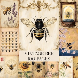 Puede incluir: Un collage de ilustraciones de abejas de estilo vintage. Las imágenes presentan abejas en varias poses, con elementos florales y botánicos. El texto "VINTAGE BEE - 100 PAGES" se muestra en el centro.