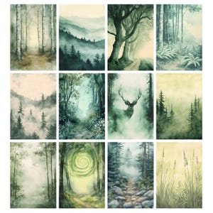 May include: A collection of watercolor forest art prints. Each print depicts a different misty forest scene, featuring trees, pathways, and a soft, muted color palette of greens, blues, and browns. The artwork evokes a sense of tranquility and natural beauty.