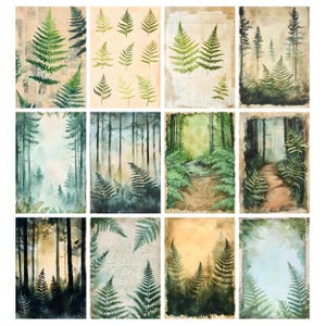 May include: A collection of twelve botanical art prints featuring fern illustrations and forest scenes. The prints showcase various shades of green and brown, with some incorporating vintage paper textures and handwritten script. The artwork evokes a natural, rustic aesthetic.