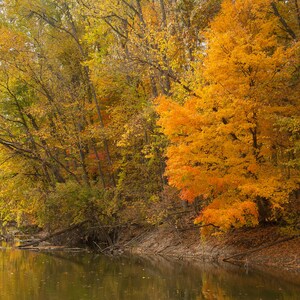 Digital Photo Download - Fall Foliage Along a Creek, Autumn Colors, Water, Creek - Printable Wall Art