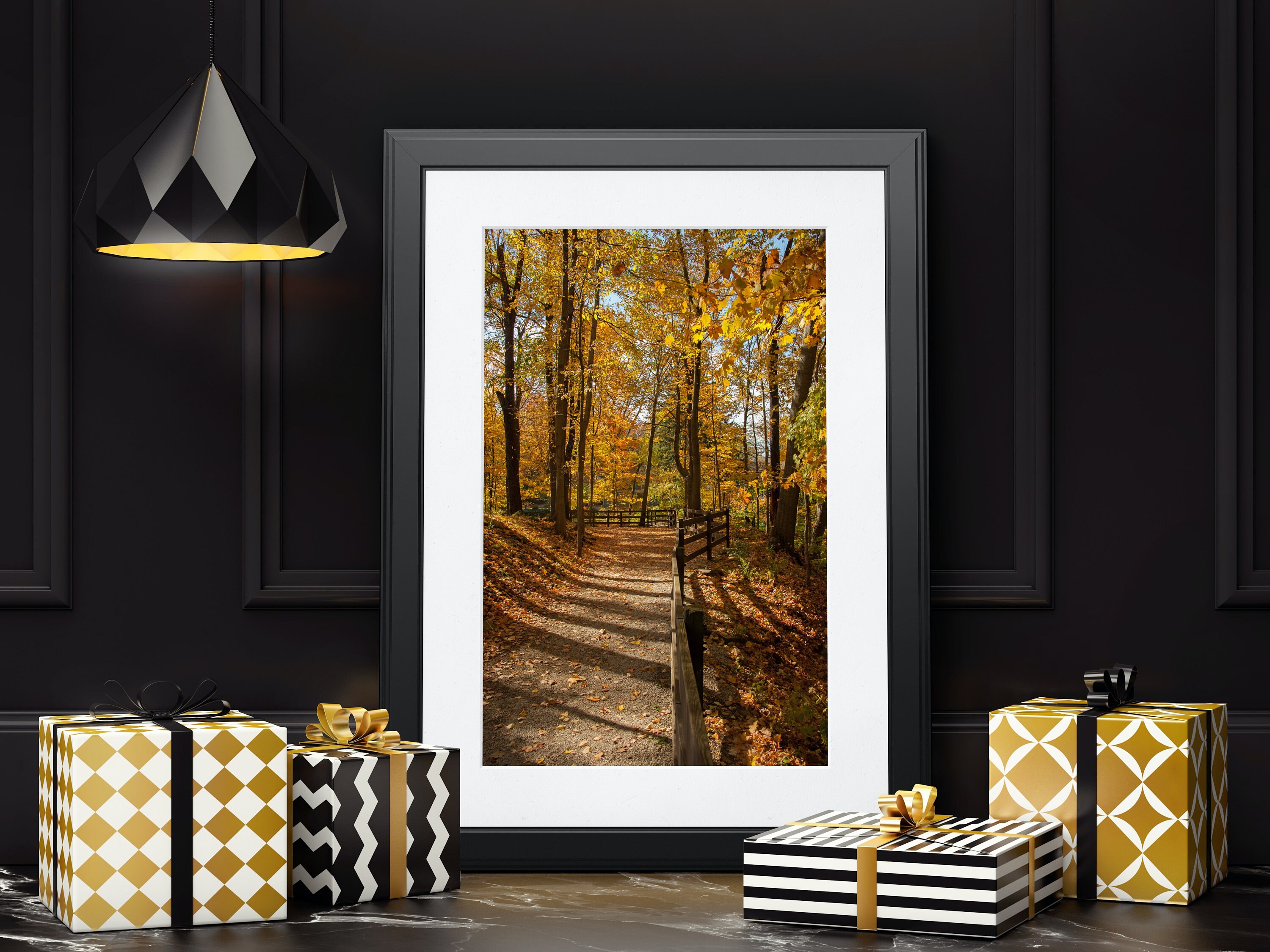 Digital Photo Download - Fall Path, Autumn, Trees, Forest, Walk in the ...
