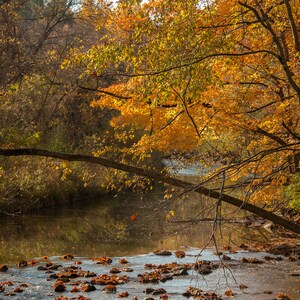 Digital Photo Download - Autumn Stream, Fall, Trees, Fall Foliage - Printable Wall Art