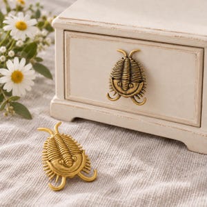 May include: Two antique brass-toned metal drawer pulls shaped like trilobite fossils. One pull is attached to the front of a small, off-white wooden drawer, while the other is placed on a textured fabric surface next to the drawer.