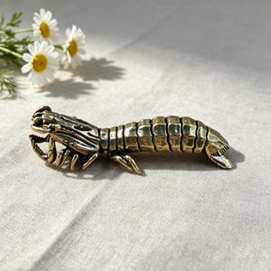 Könnte beinhalten: Eine metallene Messingfigur in Form eines Fangschreckenkrebses mit segmentiertem Körper, mehreren kleinen Beinen und detaillierten Scheren. Das Objekt hat eine polierte, reflektierende goldfarbene Oberfläche mit sichtbaren Rillen und Texturen.