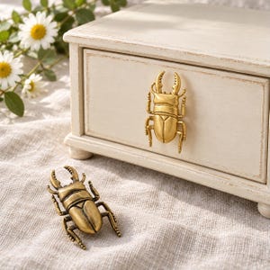 May include: A small, off-white wooden drawer with a distressed finish features a gold-toned metal beetle-shaped handle. A matching gold-toned metal beetle figurine is placed on the fabric surface in front of the drawer.