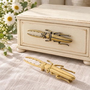 May include: A cream-colored wooden box with a single drawer featuring a brass-toned beetle-shaped handle. A matching brass-toned beetle-shaped handle is placed in front of the box on a textured fabric surface.