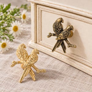 May include: Two metallic drawer knobs shaped like parrots perched on a branch. One knob is a bright gold tone, while the other is a darker, antique brass finish. Both feature detailed textures on the birds' wings and bodies.