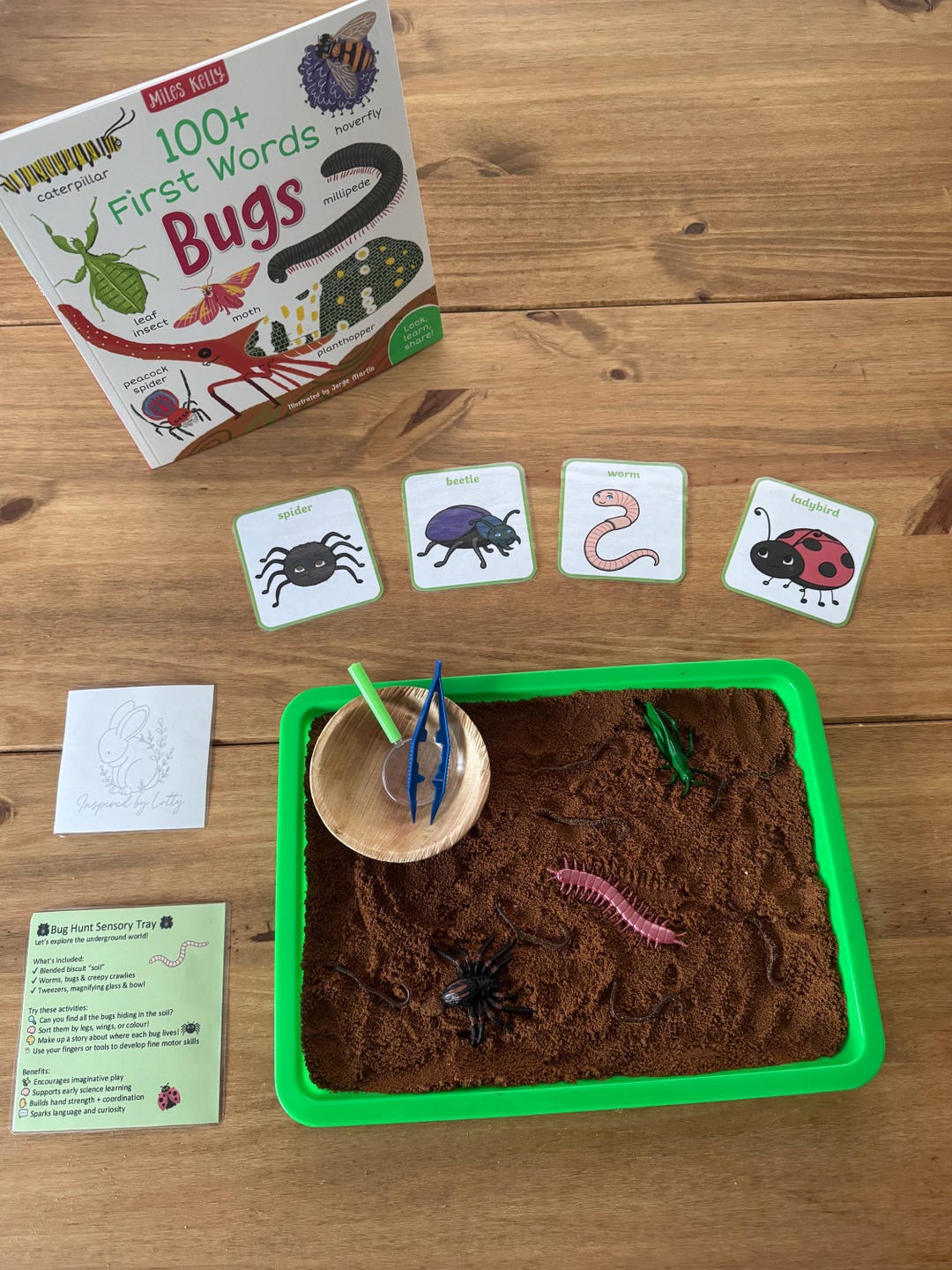Bug Hunt Sensory Play Kit for Toddlers – Montessori Activity Box – EYFS ...