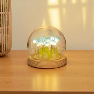 Handmade Tulip Night Light DIY Lamp Kit  Transparent LED Bedside Light, Spring Home Decor, Birthday Gift, Mother’s Day, Room Aesthetic USA