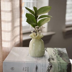 Puede incluir: Un pequeño jarrón verde pálido con la parte superior con volantes contiene hojas verdes y pequeñas flores blancas. El jarrón está sobre un libro cerrado titulado "The Holy Bible" con un diseño de paisaje en la portada. La escena es interior con luz natural.