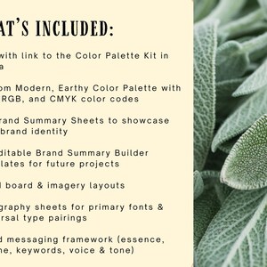 May include: A graphic with the text "WHAT'S INCLUDED:" lists items such as a PDF with a link to a color palette kit, custom color palettes with HEX, RGB, and CMYK color codes, brand summary sheets, editable templates, mood board layouts, and typography sheets.