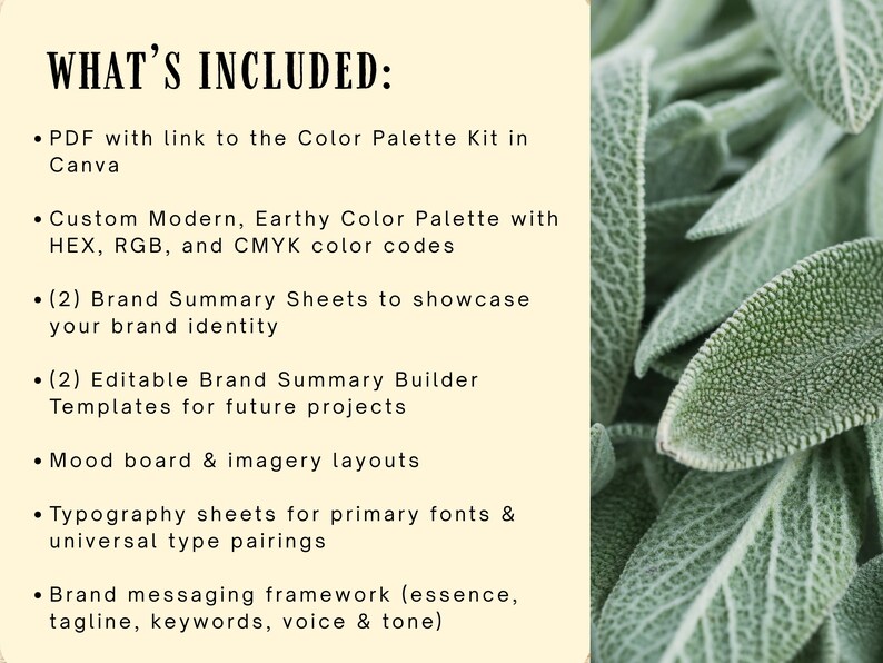 May include: A graphic with the text "WHAT'S INCLUDED:" lists items such as a PDF with a link to a color palette kit, custom color palettes with HEX, RGB, and CMYK color codes, brand summary sheets, editable templates, mood board layouts, and typography sheets.