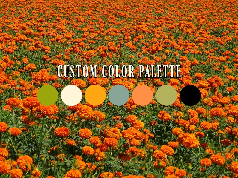 May include: A field of vibrant orange marigold flowers with green foliage. The image includes a custom color palette with circles of green, cream, orange, teal, peach, olive, and black, and the text "CUSTOM COLOR PALETTE".