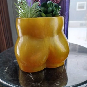 Funny Gold Yellow Butt Planter Succulent Pot Spring Garden Seeds