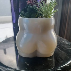 Pearl White Butt Planter Funny Succulent Pot Resin Bum Spring Garden