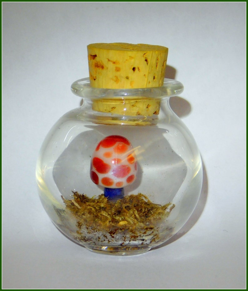 Hand Blown Glass Jar Mushroom Terrarium Moss Ready to Ship