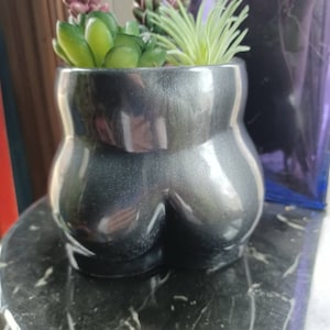 May include: A black ceramic planter with a unique shape, featuring a glossy finish. The planter is filled with a variety of succulents, including green and purple varieties.