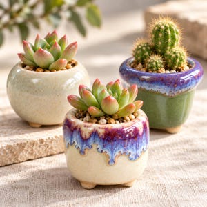 May include: Three small ceramic planters with three short legs each, containing small succulents and a cactus. One planter is cream, one is green with a purple rim, and the front one features a cream base with a purple and blue drip glaze.