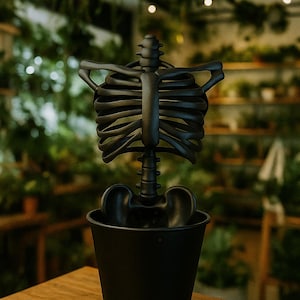 May include: A black decorative skeleton torso in a black bucket-shaped planter. The skeleton is a detailed replica of the human rib cage and spine. The planter sits on a wooden surface, with a blurred background of plants.