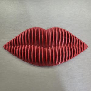 Red Lips Wall Sculpture – 3D Printed Parametric Decor