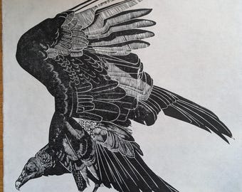 Grabado en linóleo del buitre pavo