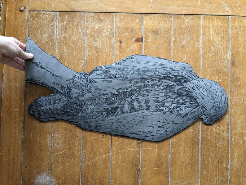 Hawk Rip Print Red Tailed Hawk Original Handmade Large Linocut Print Linoleum Carved ...