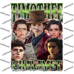 Timothee Chalamet T-Shirt: Limited Edition Fan Art
