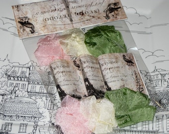May include: A package of four different colored ribbons. The ribbons are pink, cream, green, and a darker green. The ribbons are in a clear plastic bag with a vintage-style paper label that says "Le Topo (Old Town)".