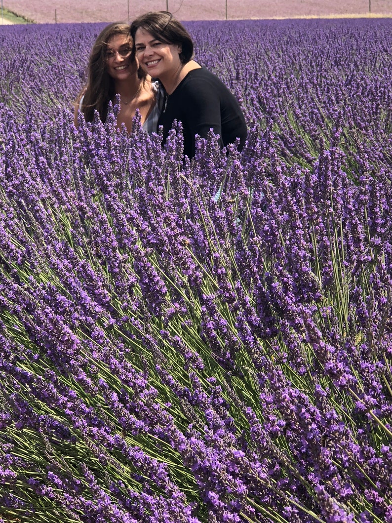 May include: Two people smiling in a field of purple lavender flowers.