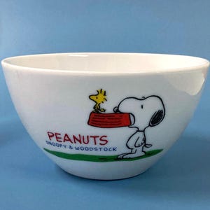 Snoopy & Woodstock Soup Bowl – PEANUTS Ceramic Collectible Tableware