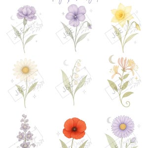 Watercolour Birth Flowers By Moonlight - Celestial Botanical Designs
