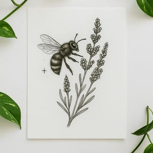 May include: Black and white illustration of a bee hovering near a sprig of lavender. The bee is detailed with striped abdomen and transparent wings. The lavender features small, clustered buds and slender leaves, all set against a white background.