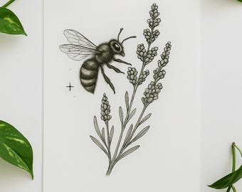 May include: Black and white illustration of a bee hovering near a sprig of lavender. The bee is detailed with striped abdomen and transparent wings. The lavender features small, clustered buds and slender leaves, all set against a white background.