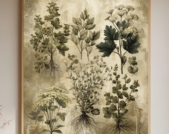 Op de afbeelding: Een ingelijste botanische print met gedetailleerde illustraties van verschillende planten met blootliggende wortels. Het kunstwerk is in tinten groen en bruin, tegen een getextureerde, verouderde achtergrond. De print is ingelijst in een licht houten frame.