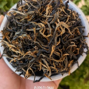 Assam Black Handcrafted Orthodox Tea | Bold & Malty | Single-Origin Whole Leaf | . Organic | Small Batch &quot;