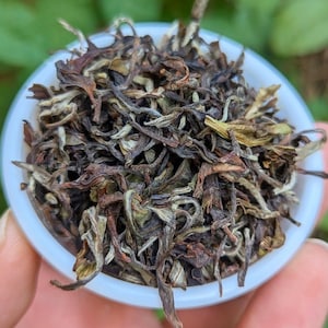 Darjeeling White Tea – Giddapahar Estate | Delicate & Rare Loose Leaf