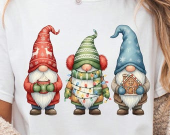 Christmas gnome png, cute gnome png, Christmas gnomes png, festive gnome, winter gnomes png, Christmas lights png, family gnomes png