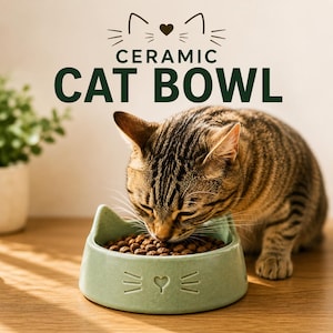 May include: A light green ceramic cat bowl with a speckled texture, featuring embossed cat ears on the rim and a heart-shaped nose with whiskers on the front. The text CERAMIC CAT BOWL is printed above the bowl with a cat face graphic icon.