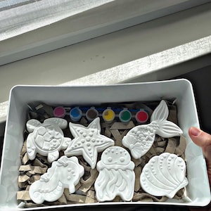 Op de afbeelding: Een witte bak bevat verschillende onbeschilderde zeedierfiguren, waaronder een schildpad, zeester, zeepaardje, kwal, zeemeerminstaart en schelp. Kleine verfpotjes in verschillende kleuren zijn erboven geplaatst.