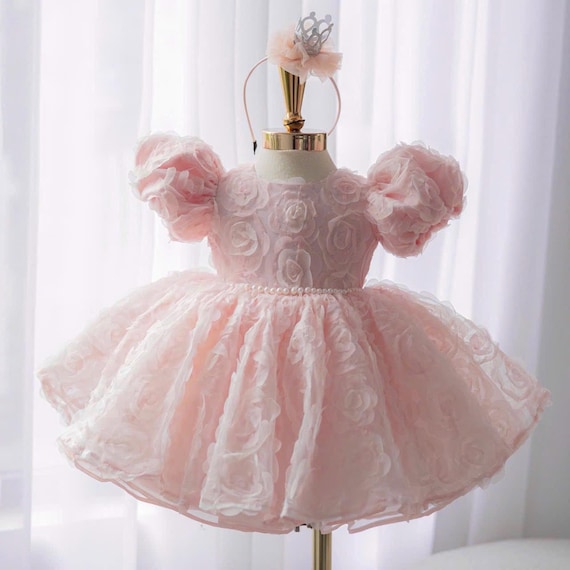 Pink Princess Baby Dress: 3D Rose Tulle, Puffy Sleeves + Headband