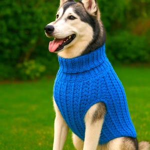 Handleiding voor het breien van hondentruien, direct digitaal