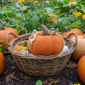 Könnte beinhalten: Ein Weidenkorb gefüllt mit gehäkelten Kürbissen in Orange, Gelb und Weiß. Der Korb ist von echten Kürbissen und Grün umgeben, was ein Herbstthema erzeugt. Die Kürbisse haben detaillierte Stiele und Ranken.