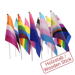 Może przedstawiać: Kolekcja małych flag na drewnianych patyczkach, z których każda przedstawia inny wzór reprezentujący różne tożsamości LGBTQ+. Flagi mają różne kolory, w tym tęczowe paski, różowy, niebieski i fioletowy. Flagi są ułożone na białym tle.