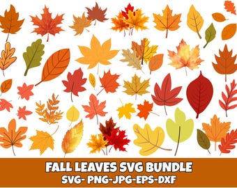 May include: A collection of colorful fall leaves in various shapes and sizes, including maple, oak, and other leaf types. The leaves are in shades of red, orange, yellow, and green. The text "FALL LEAVES SVG BUNDLE" is at the bottom.
