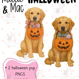 May include: Two golden retriever dogs, each holding a jack-o'-lantern candy basket. The image includes the text "Millie & Mac" and "HALLOWEEN". A pink shape below the dogs says "2 halloween pup PNGS 300 DPI".