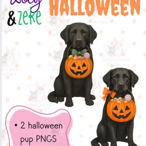 Peut inclure: Illustration numérique de deux labradors noirs avec des accessoires d'Halloween. Chaque chien porte un panier citrouille rempli de bonbons. L'image comprend le texte "Zoey & Zeke" et "HALLOWEEN". Le texte supplémentaire indique "2 halloween pup PNGS" et "300 DPI".