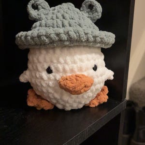 Duck with Frog Hat